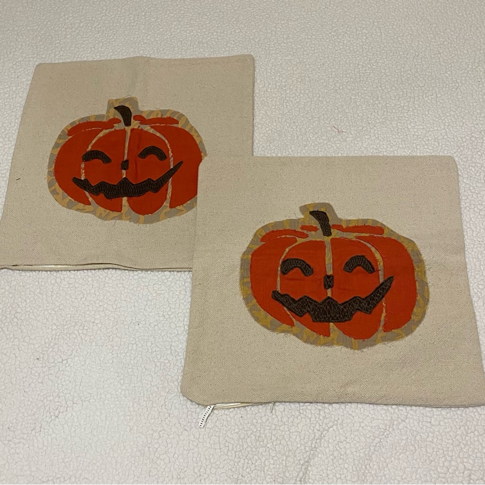 2 Pottery Barn pumpkin pillow covers, 18” x 18” very good condition